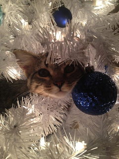 Cat in White Christmas Tree