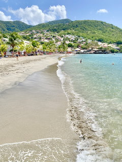 Sandy beach with gentle waves, palm trees, and a hillside town along the coast in Martinique