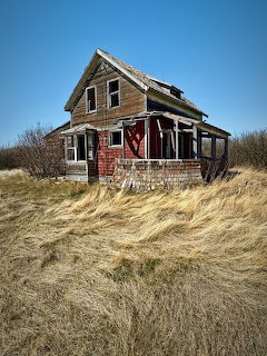 Old abandoned farmhouse in a field of tall dry grass beneath a blue sky