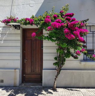 Bougainvillea House Facade
