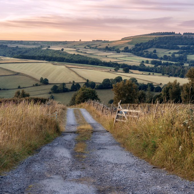 Country lane leading through grassy hills and patchwork fields beneath a pink sky