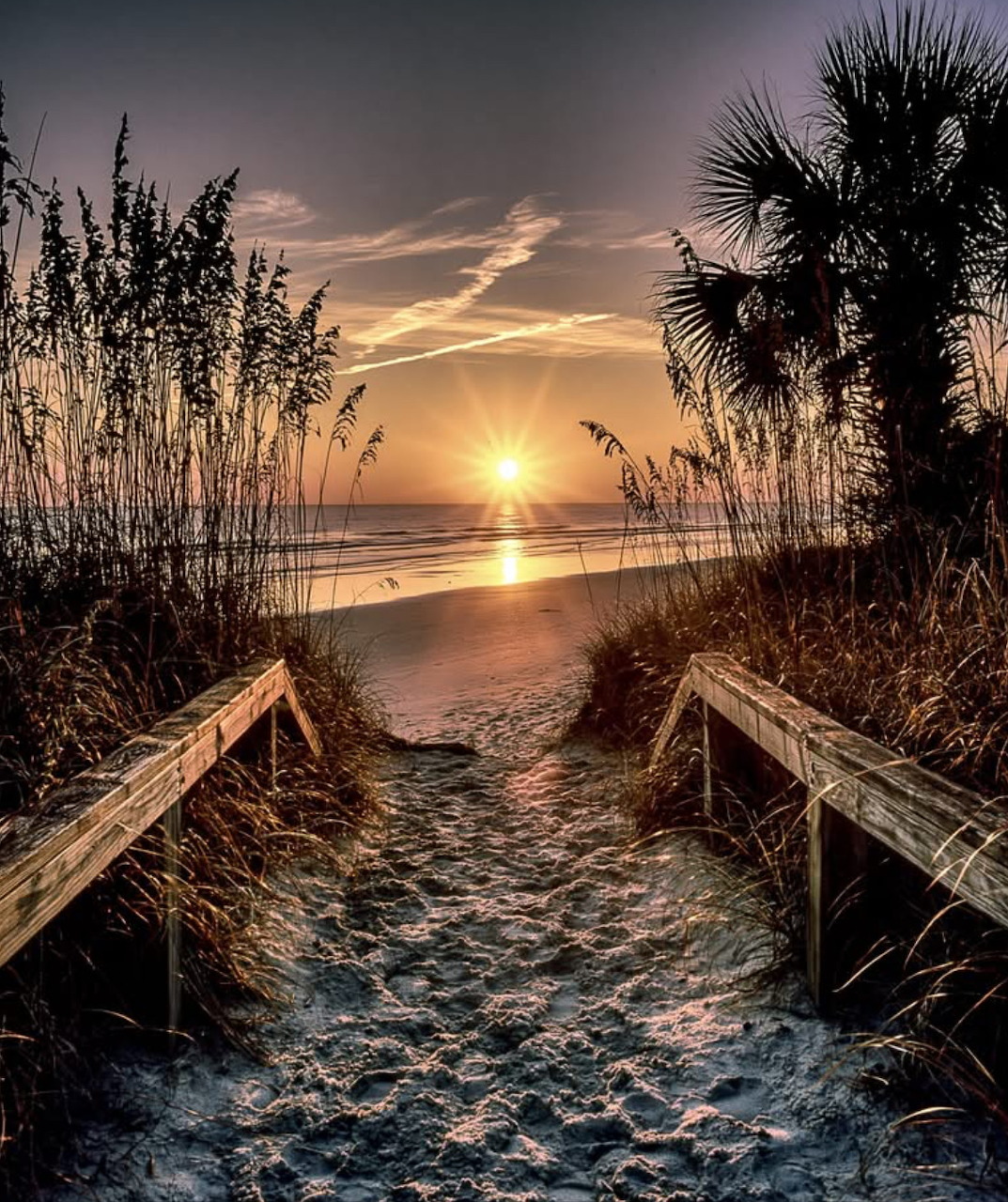 Wooden boardwalk path through dunes leading to beach at sunset with palm trees and sea oats