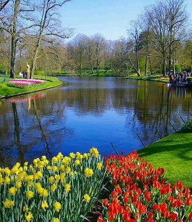 Spring Garden Tulips Pond