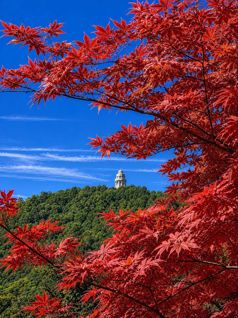 Red autumn leaves framing a lookout tower on a green hill under a blue sky