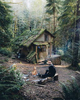 Person by campfire near moss-covered cabin in forest