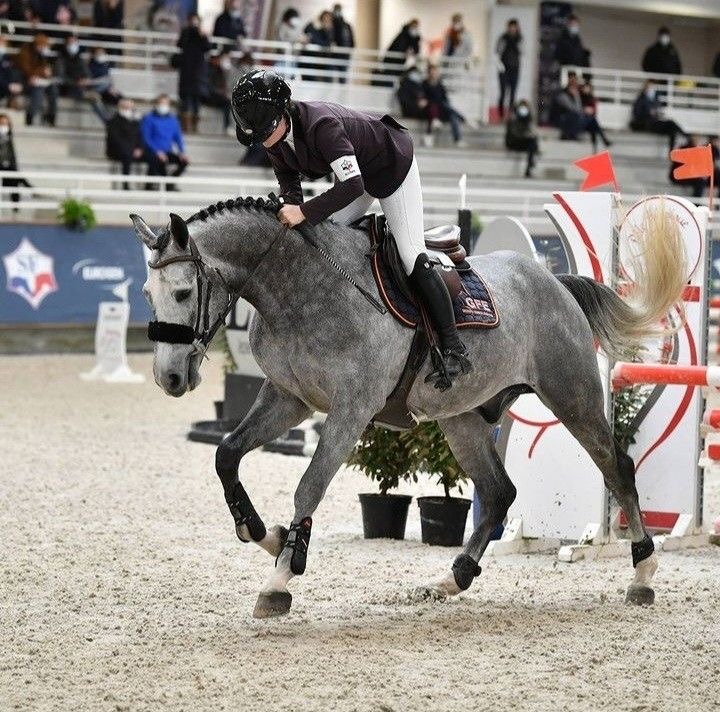 Rider on a gray horse jumping an obstacle in an indoor showjumping arena