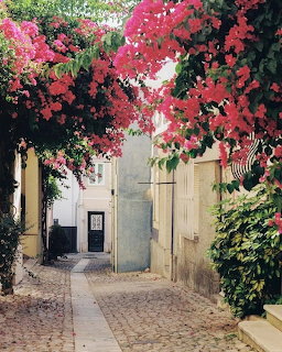 Narrow cobblestone street with pink bougainvillea flowers arching over white Mediterranean buildings