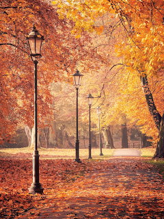 Park path with old-fashioned street lamps surrounded by vibrant autumn trees with golden and orange leaves