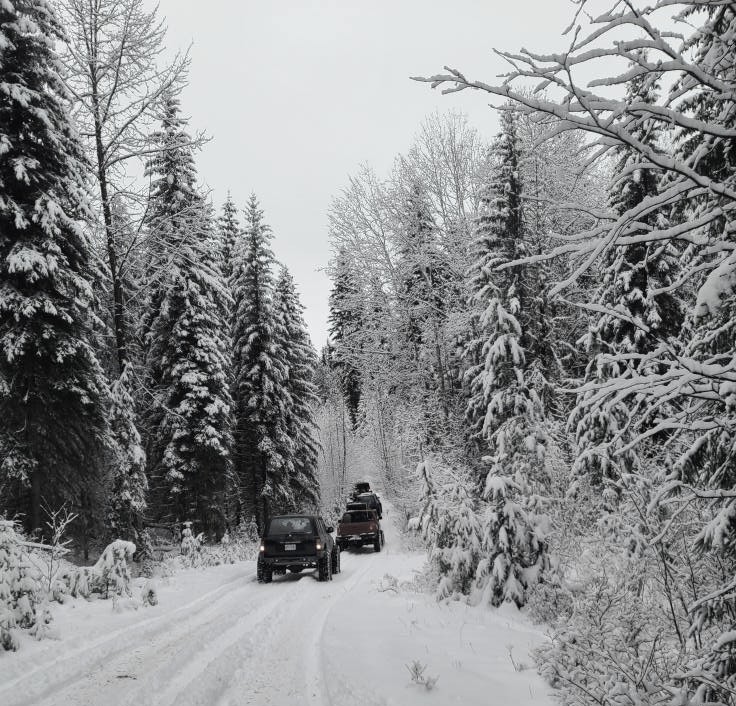 Vehicle on snowy forest road surrounded by snow-covered trees in winter