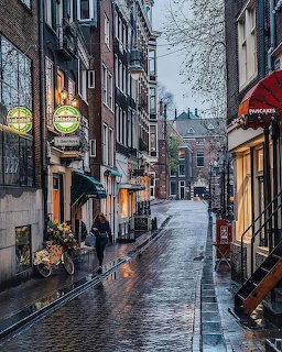 Rainy Amsterdam Street