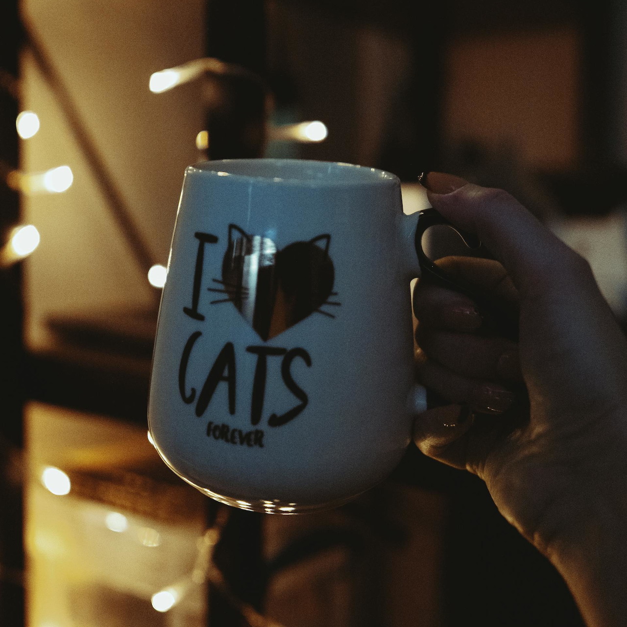 Hand holding white mug with I love cats text against blurred warm lights