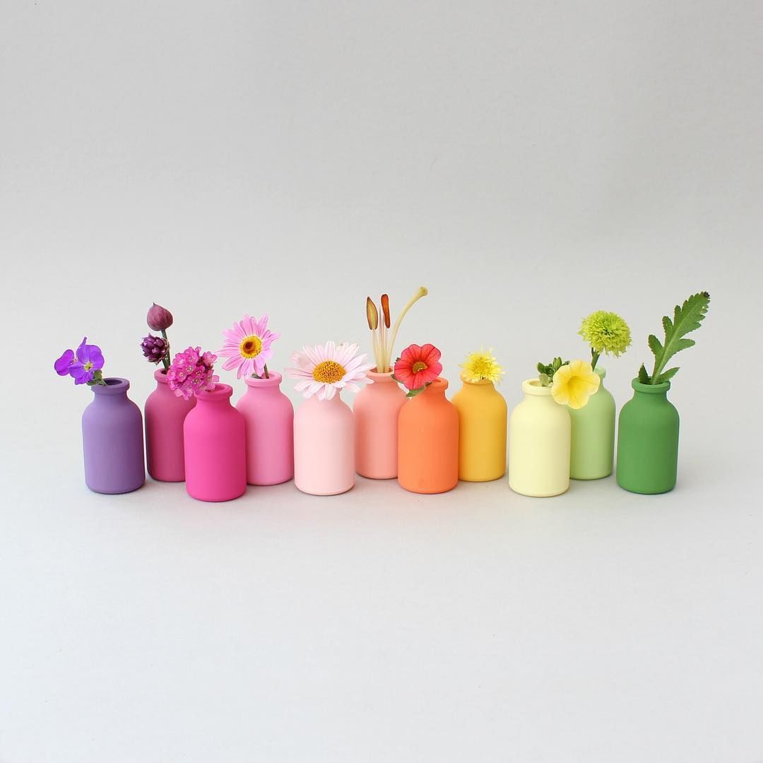 Rainbow-colored small vases arranged in a row, each holding a different flower against a light gray background