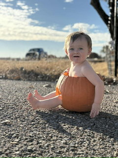 Smiling baby sitting inside a large orange pumpkin on gravel outdoors