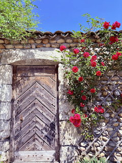 Old wooden door in a stone wall with blooming red roses and green foliage