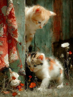 Two calico kittens near a rustic green wooden post with wildflowers and red fabric