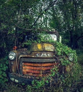 Abandoned GMC Truck in Forest