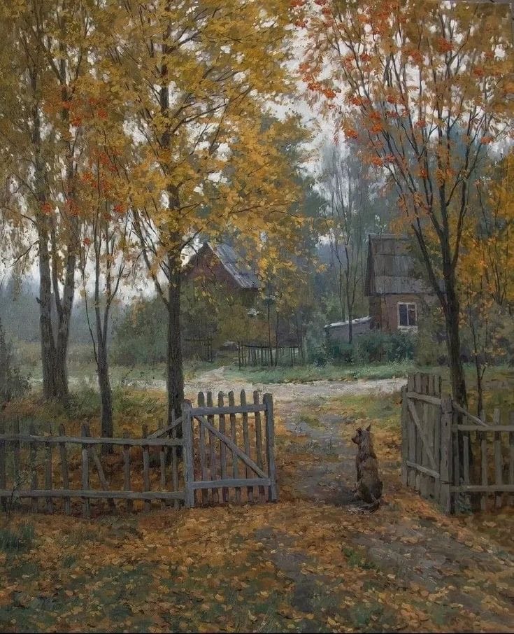 Dog waiting on a country lane surrounded by trees