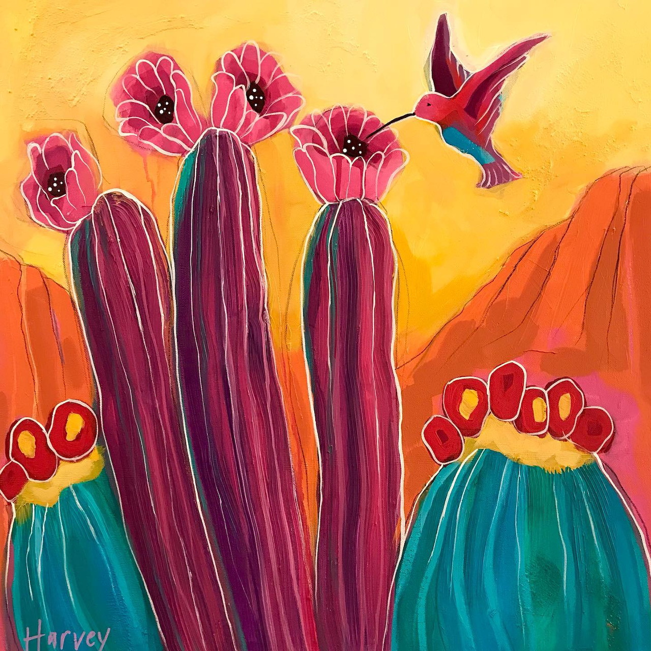 Hummingbird Desert Cactus Flowers