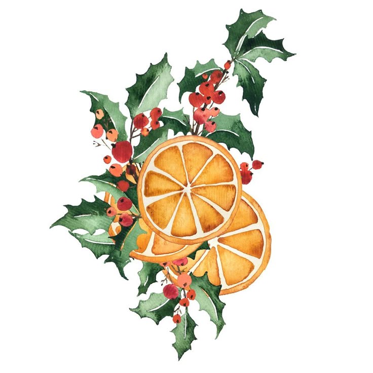 Watercolor painting of holly leaves with red berries and orange slices