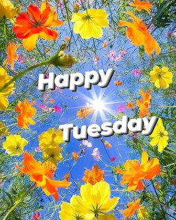 Colorful cosmos flowers surrounding Happy Tuesday text against blue sky with sunburst