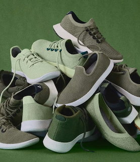 Green Allbirds Sneakers Collection
