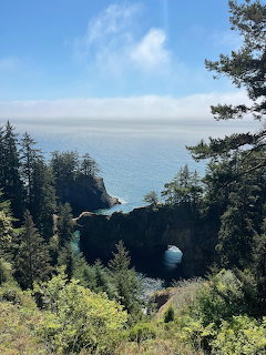 Natural rock arch on a forested coastal cliff with ocean view and evergreen trees