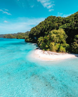 Aerial view of tropical beach with turquoise water, white sand, and dense green forest