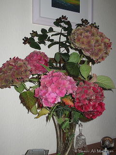 Pink hydrangea bouquet in a glass vase on a table against a white wall