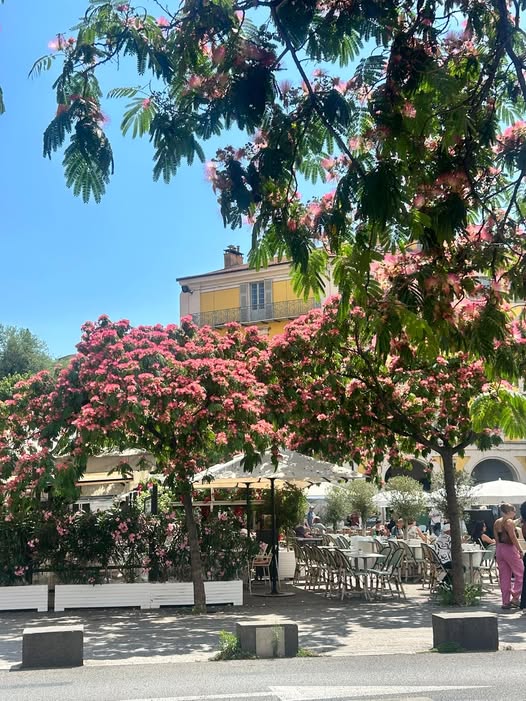 Flowering Plaza Cafe