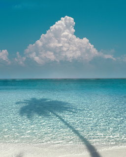 Tropical Island Beach With Shadow Of Palm Tree