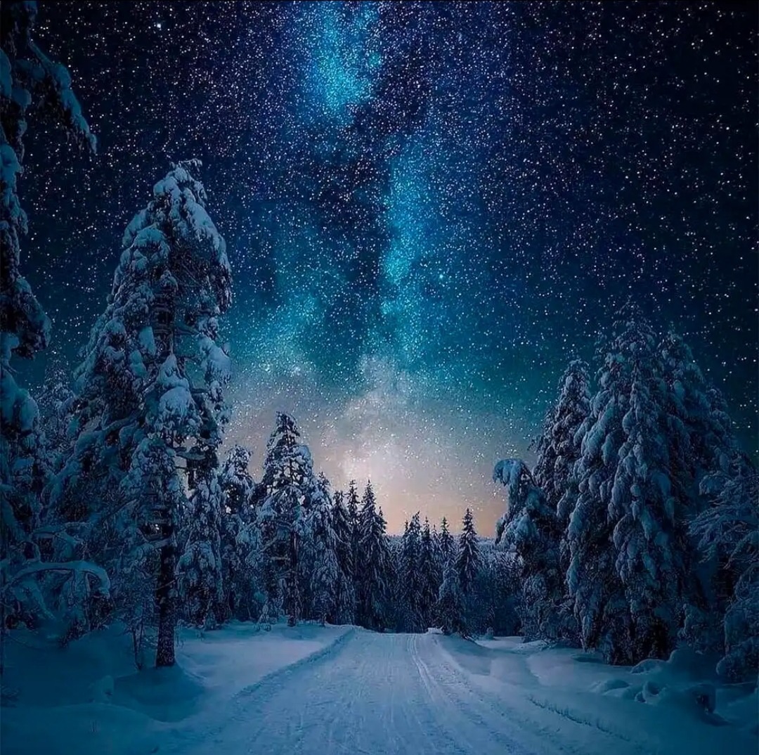 Snowy forest road at night with stars and Milky Way above snow-laden pine trees