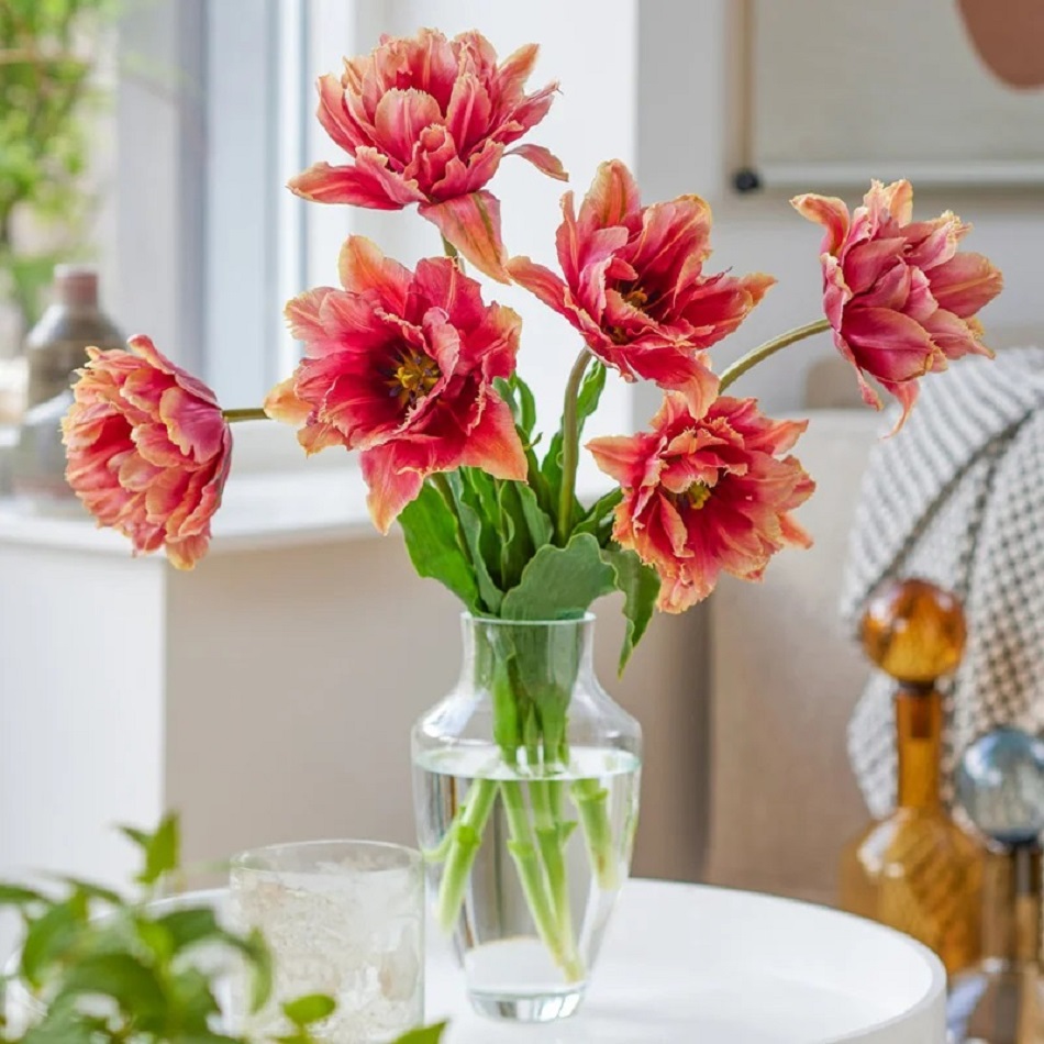 Red and coral tulips in clear glass vase on white table