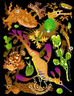 Colorful digital art of various nudibranchs and sea slugs on a black background