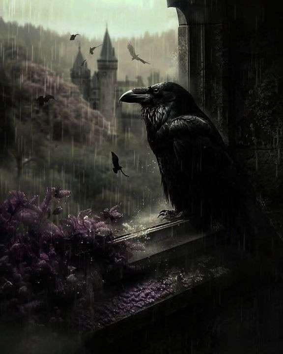 Black raven on a rainy windowsill with gothic towers in the background
