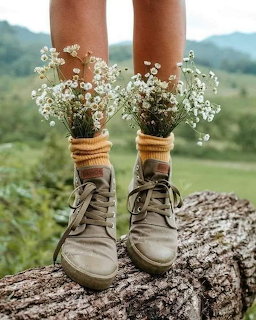 Hiking boots with white wildflowers in socks on rock, mountains behind