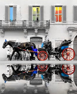 Horse Carriage Reflection Rome