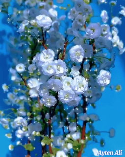 White and light blue flowers bloming on branches against a bright blue background with sparkle effects