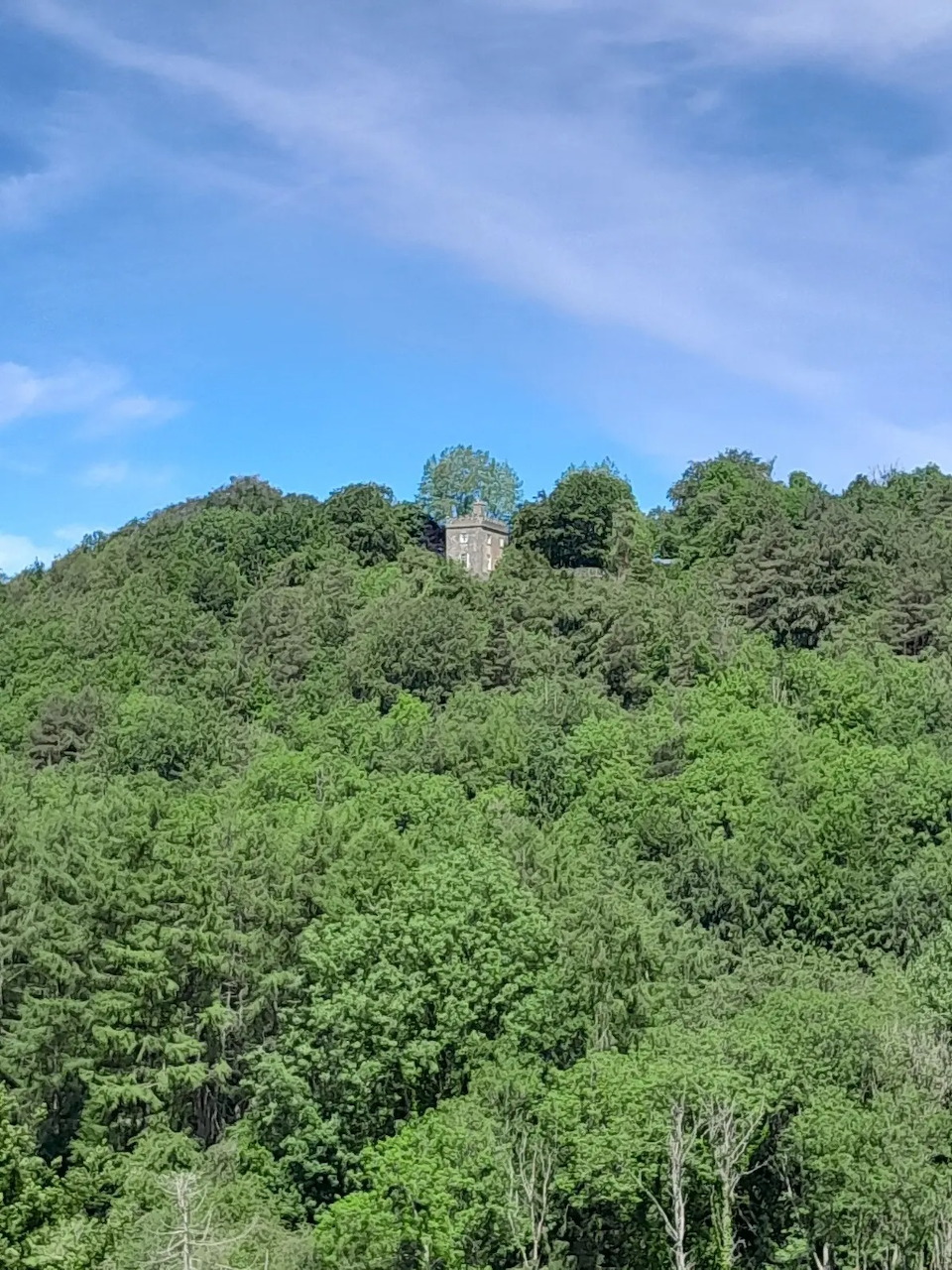 Forested hillside beneath a blue sky with a small building partly hidden in the trees