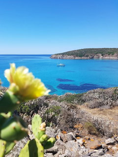Sardinia Coastal View