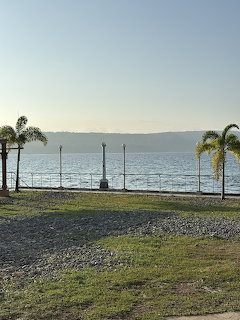 Palm trees and a lamppost beside calm water with distant hills and a clear sky
