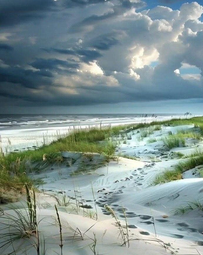 Sandy beach dunes with grass under dark storm clouds by the ocean