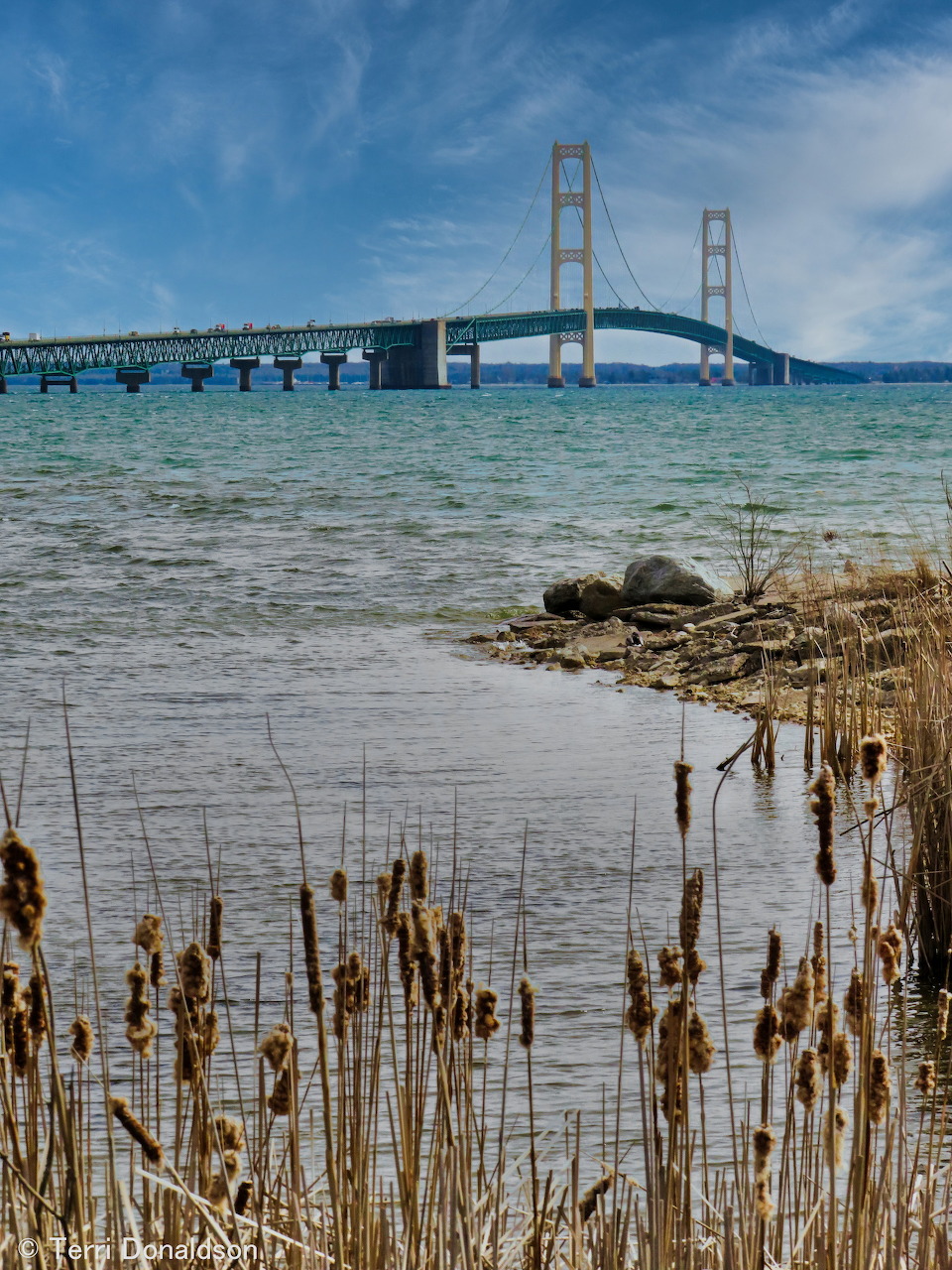 Mackinac Bridge spanning blue-green water with old wooden pilings in foreground