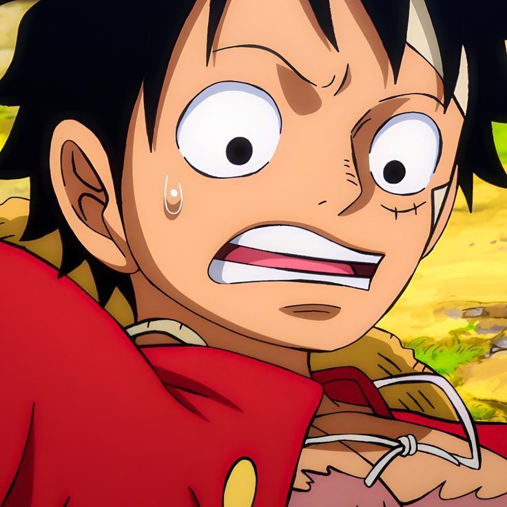 Luffy Shocked Expression