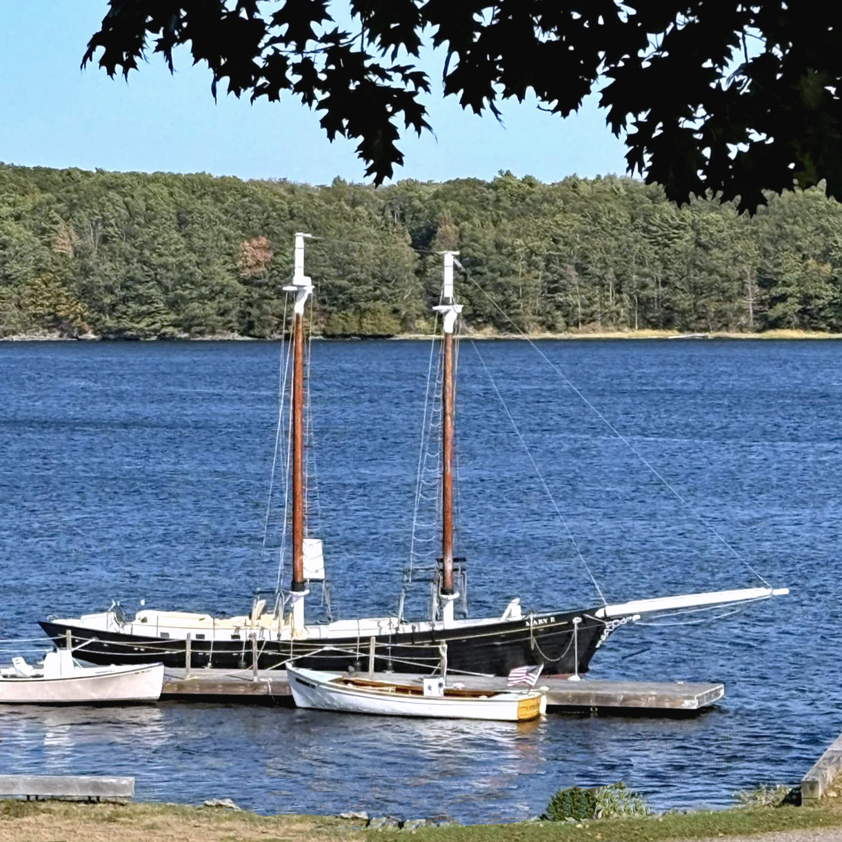Historic sailboats moored on blue water with a forested shoreline in the background