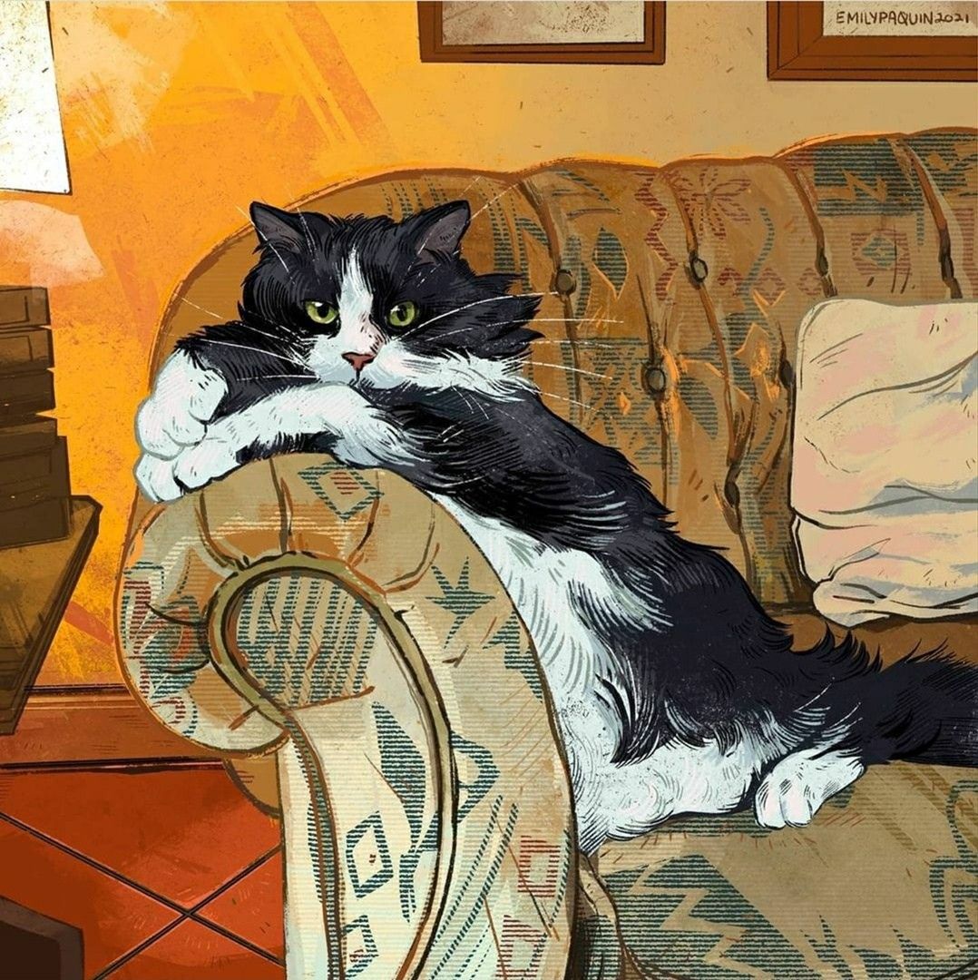 Black and white cat stretched across a patterned couch indoors