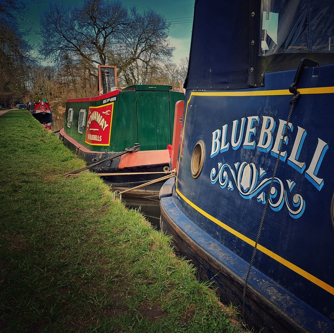 Bluebell Canal Boat