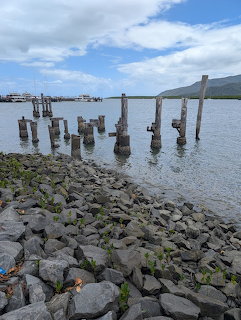 Weathered wooden pier pylons in shallow water along rocky shoreline with mountains in background