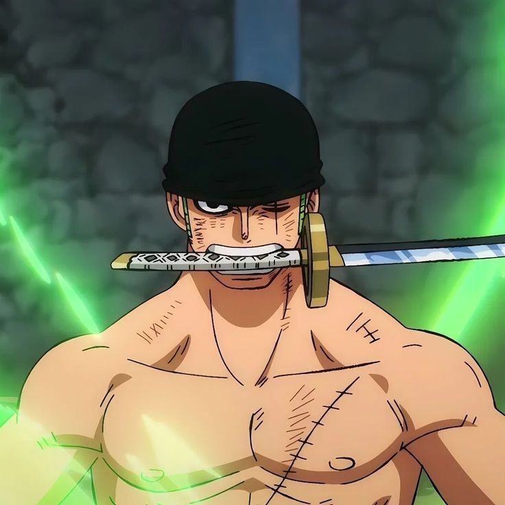 Roronoa Zoro Anime