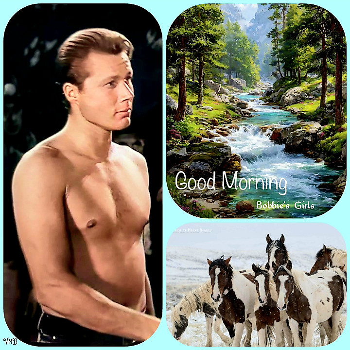 Three-panel collage with a shirtless man, a forest stream, and running horses, plus Good Morning text.
