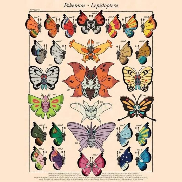 Scientific chart showing colorful Pokémon characters illustrated as butterfly and moth specimens in vintage naturalist style